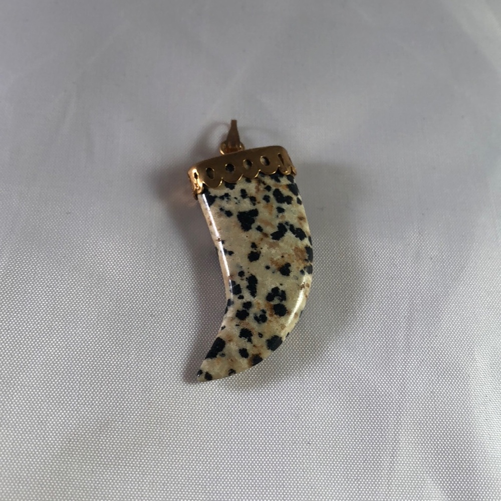 Jasper tooth pendant